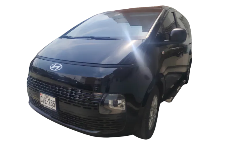 Van Ejecutiva